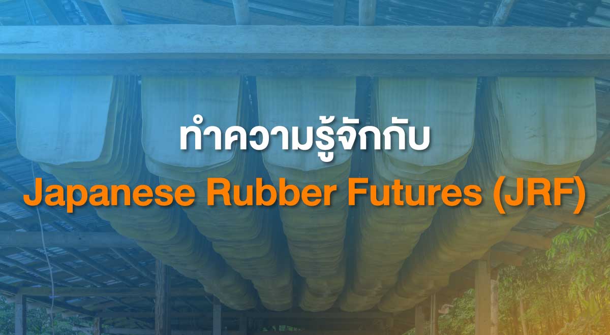 ทำความรู้จักกับ Japanese Rubber Futures (JRF) TFEX Thailand Futures