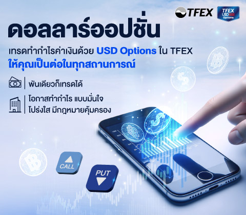 202511-USD-Options-mobile