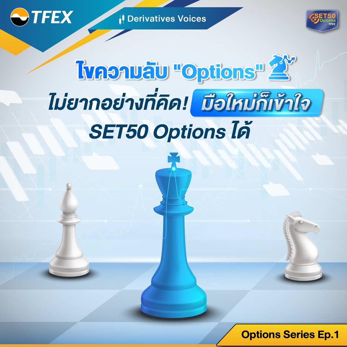 1200x1200-DVoices-15---Options-Series--1-----SET50-Options-