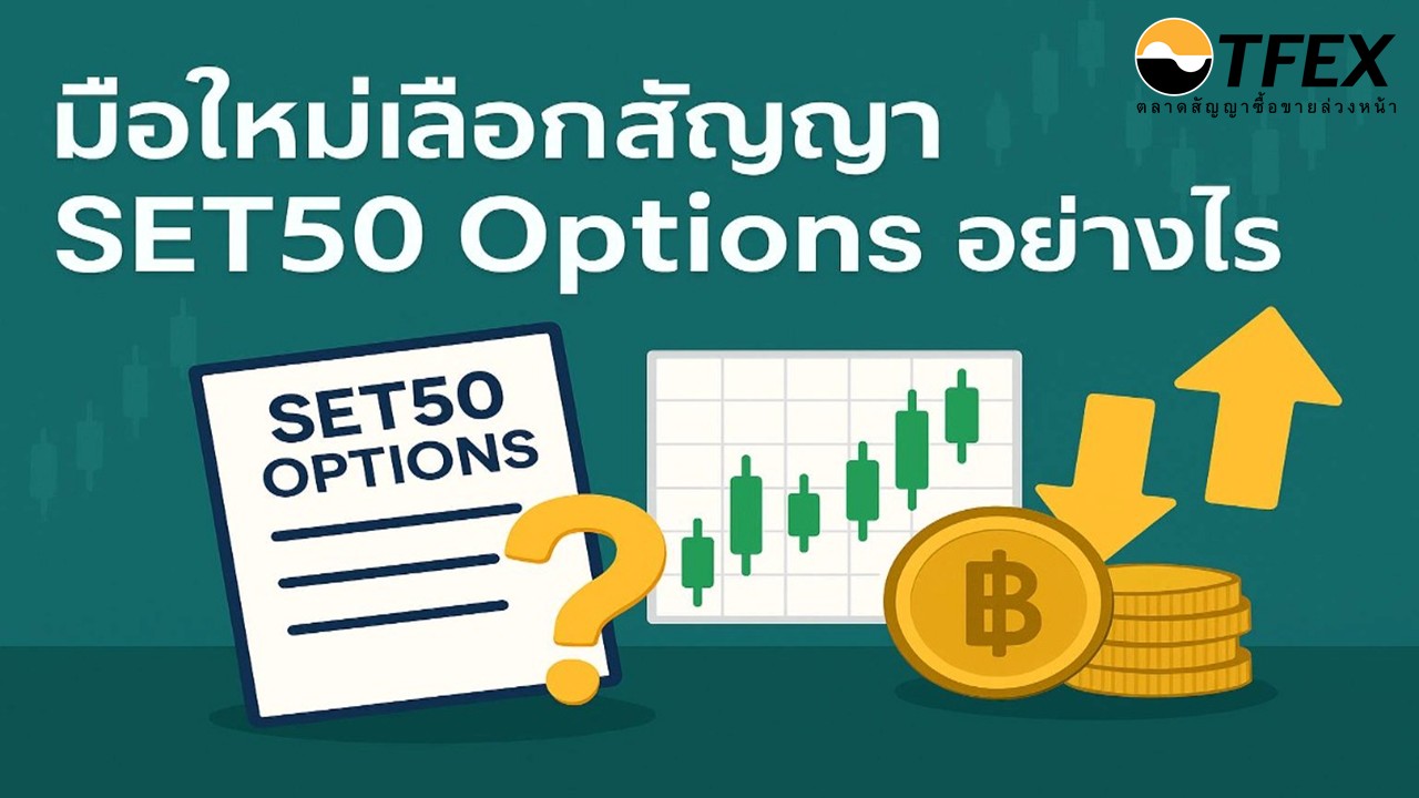 SET50-Options